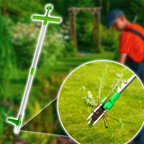 AEXZR® Wortelverwijderaar voor staande planten
