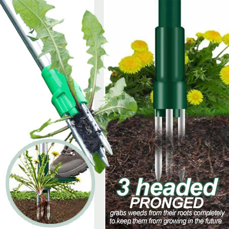 AEXZR® Wortelverwijderaar voor staande planten