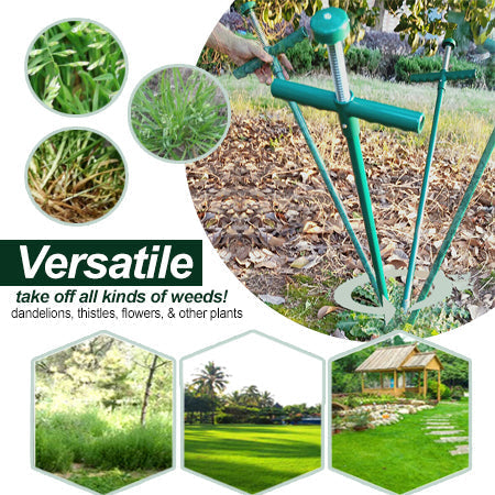AEXZR® Wortelverwijderaar voor staande planten