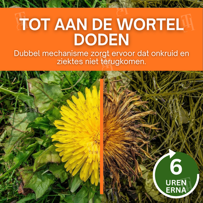 🌟 Officiële winkel | AEXZR® 2-in-1 Max Power Onkruidverdelger